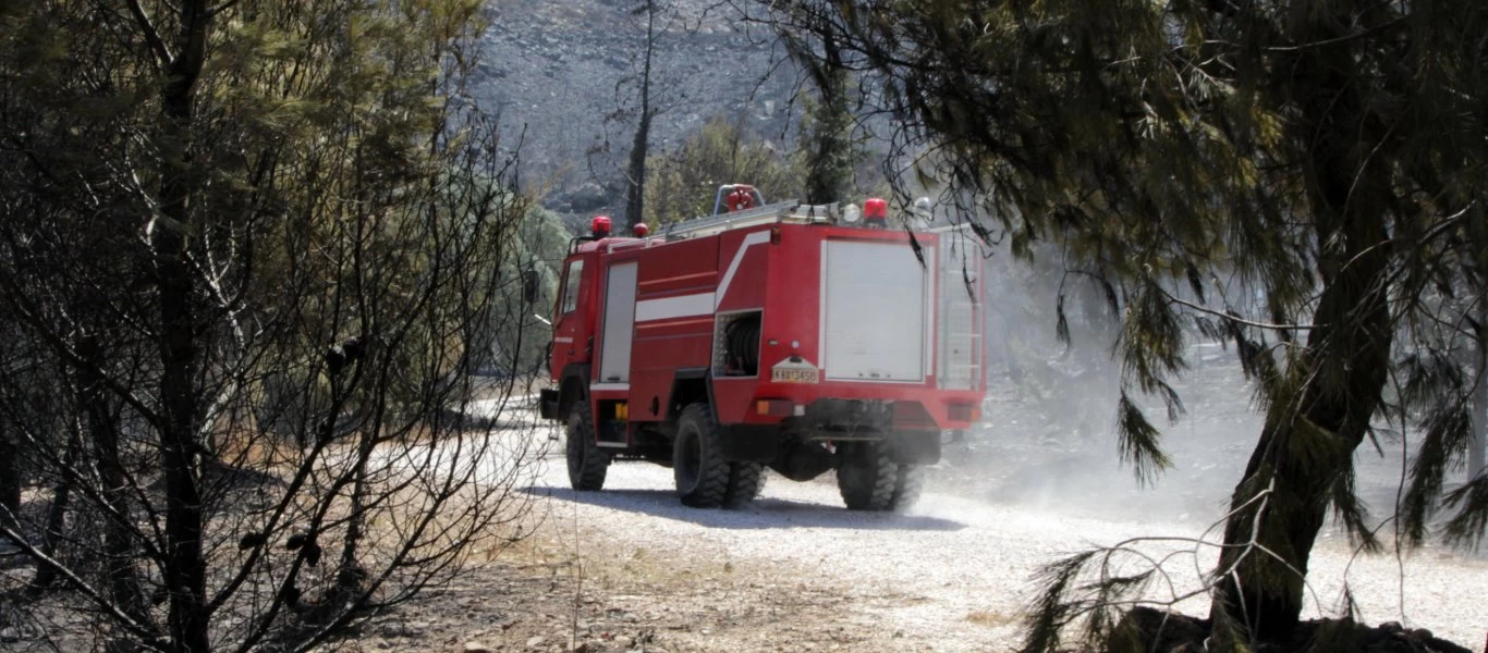 Φωτιά στο Άλσος Βεΐκου